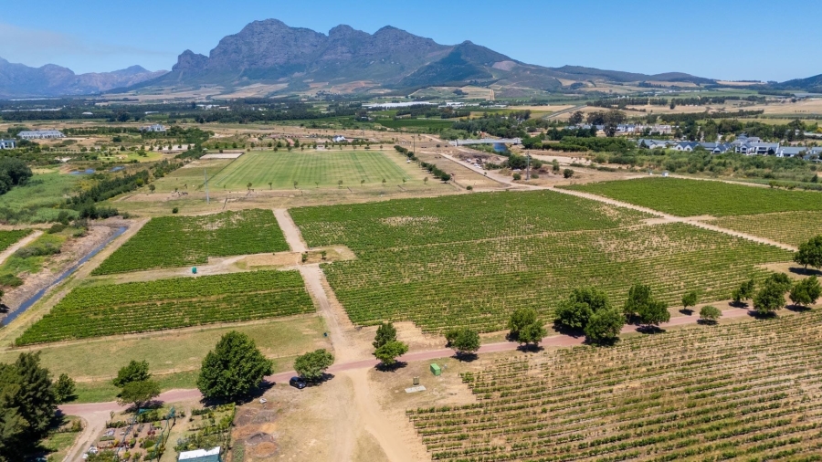 0 Bedroom Property for Sale in Val De Vie Estate Western Cape